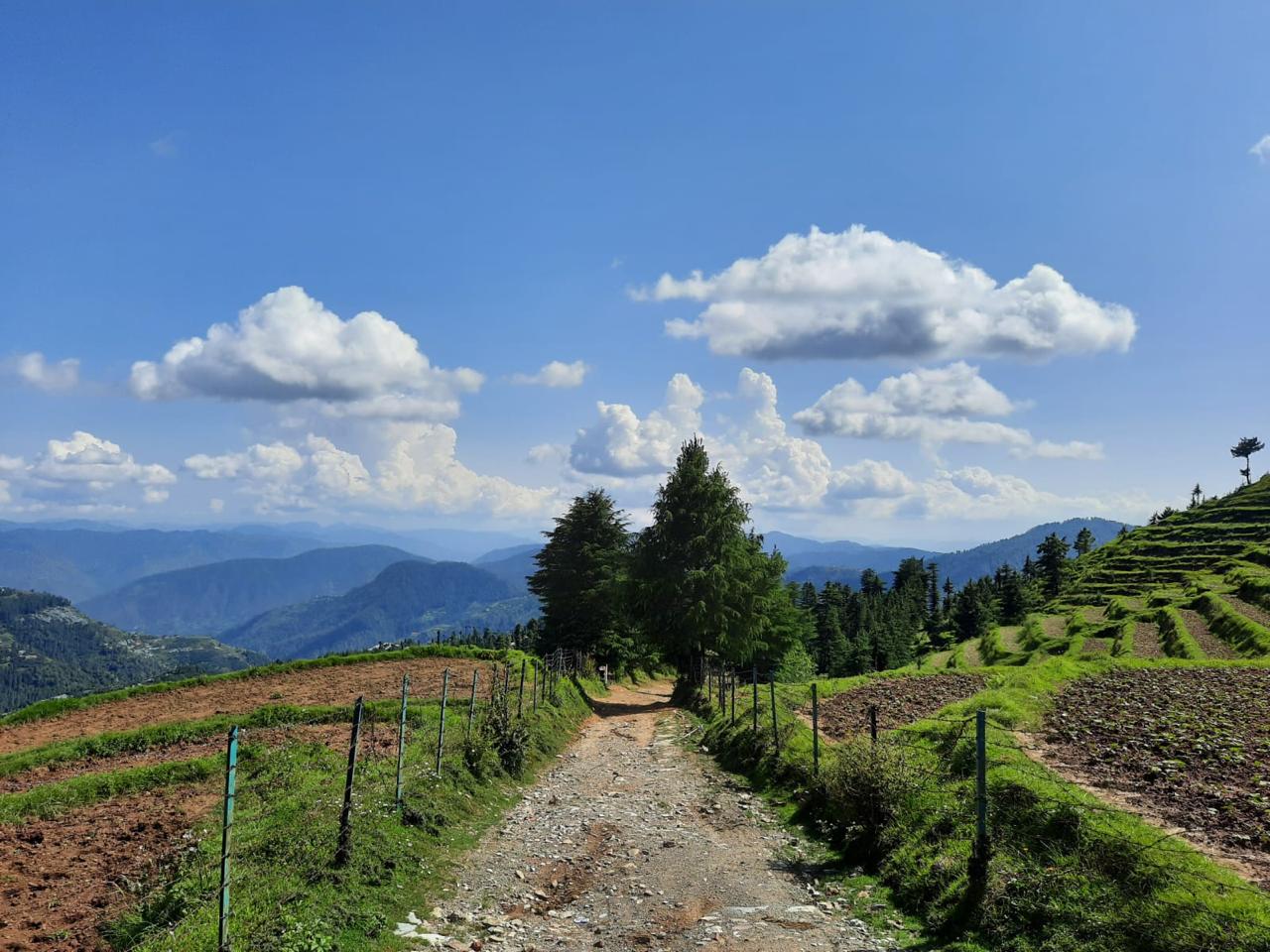 Kufri Trails